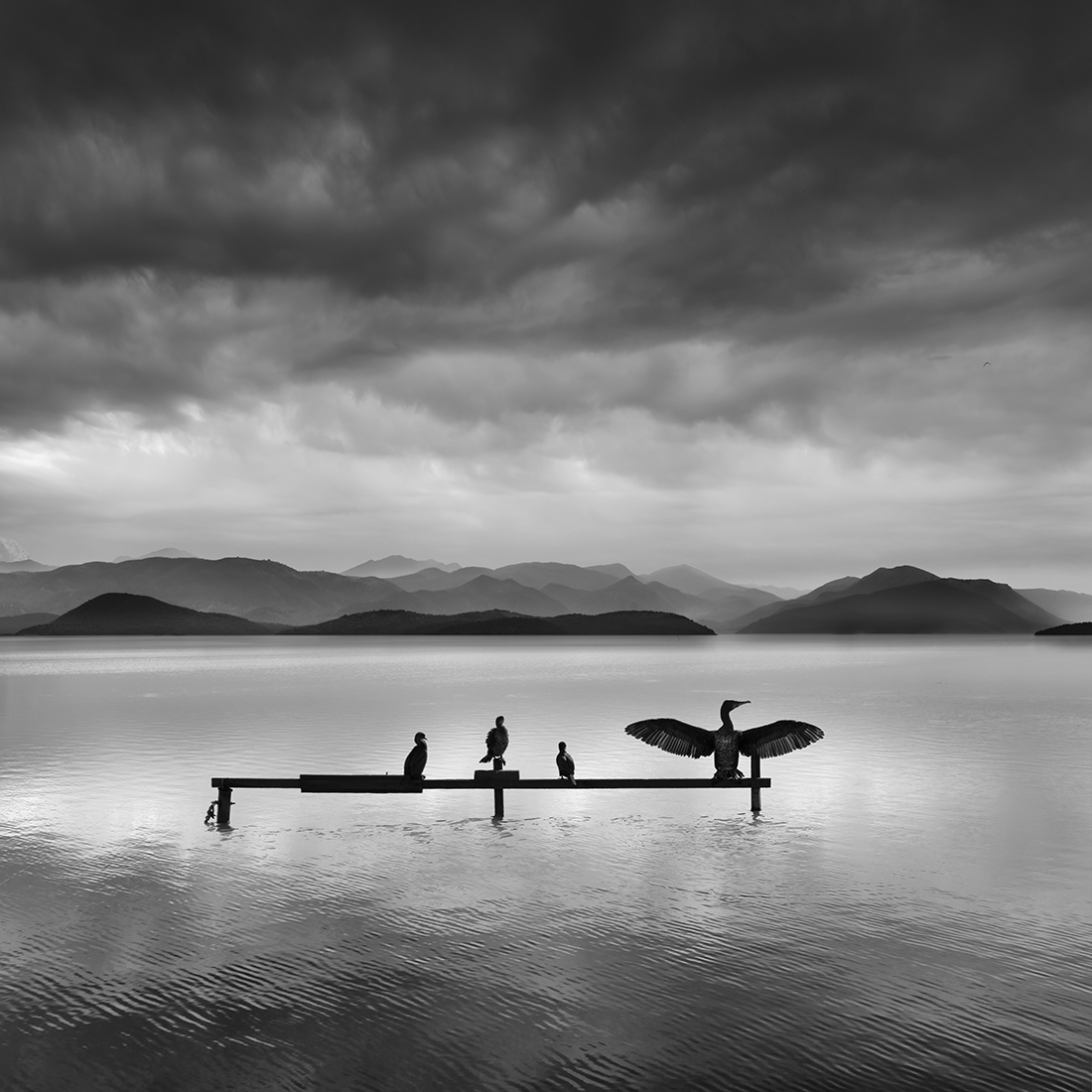 Silent Waters