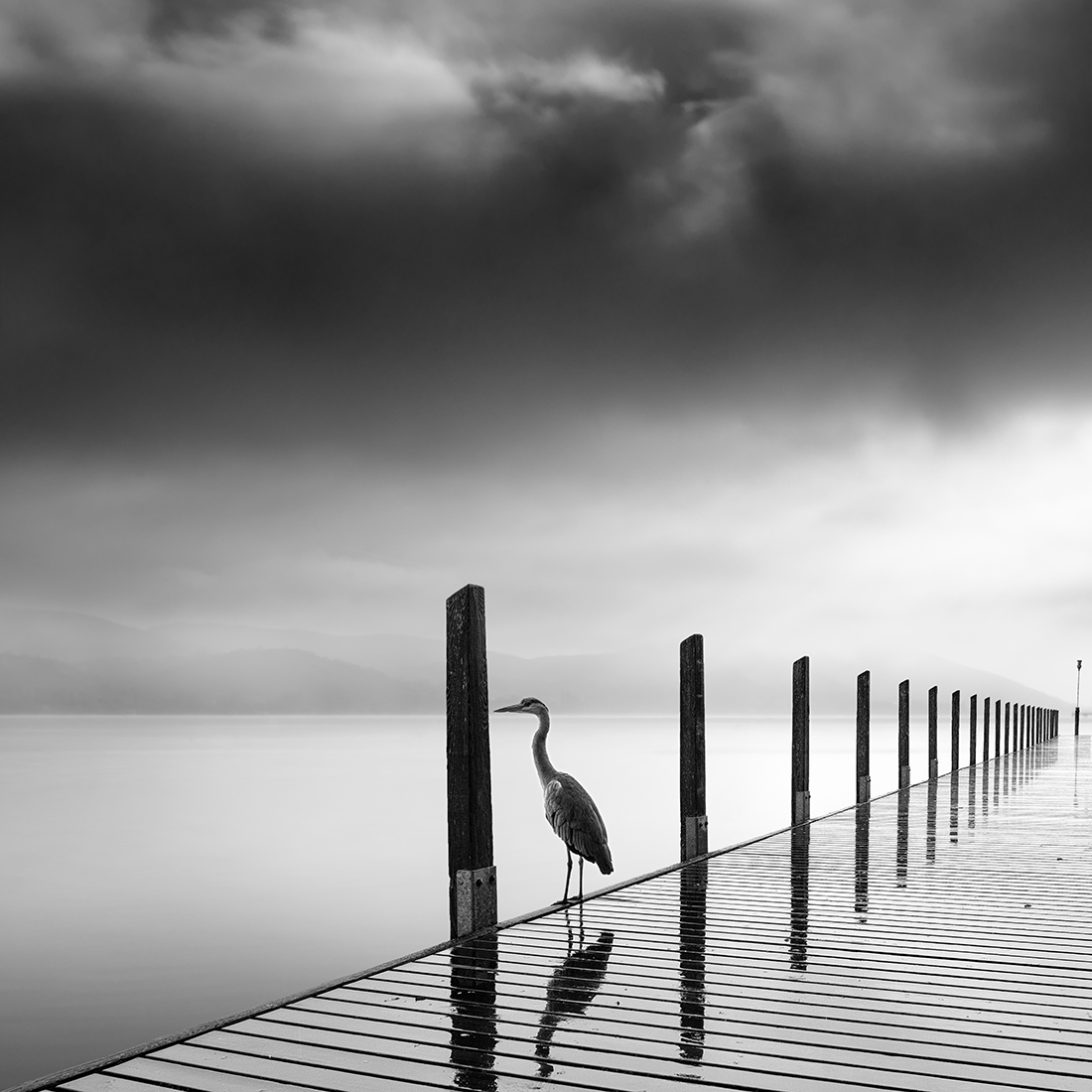 Silent Waters