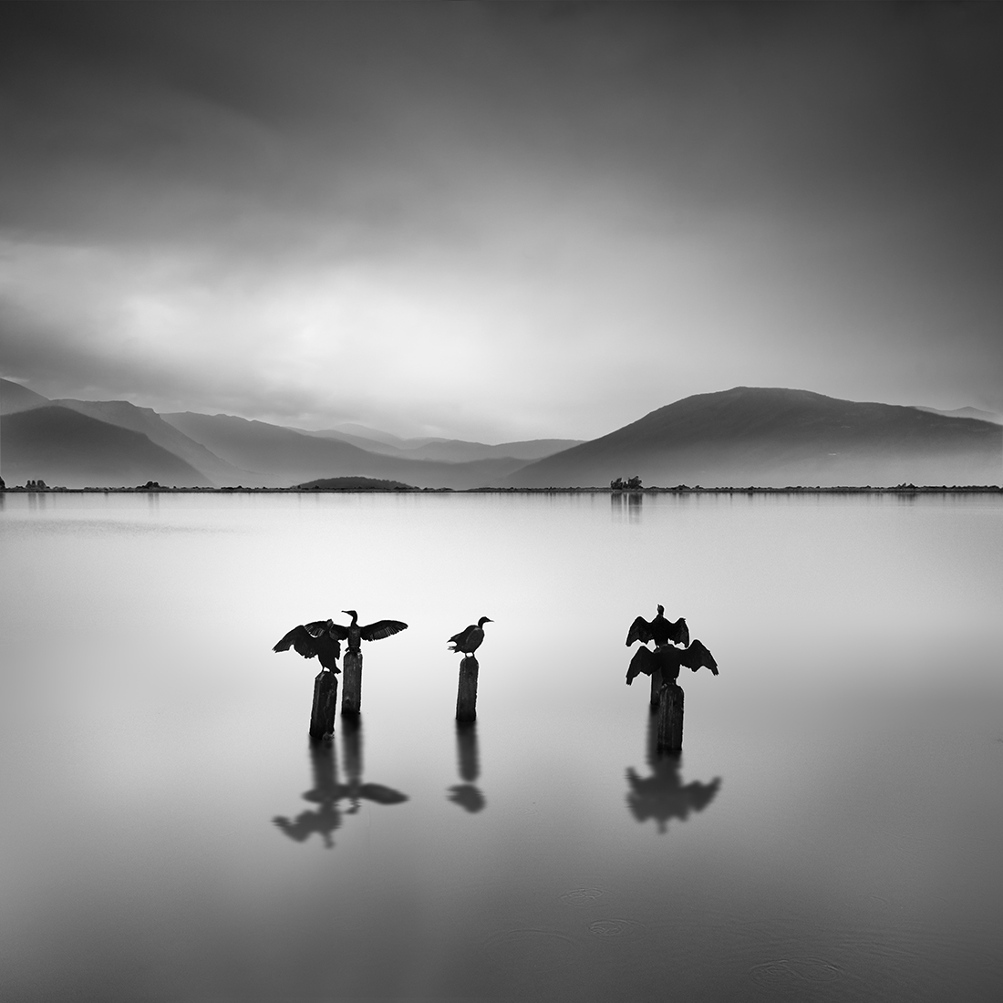 Silent Waters