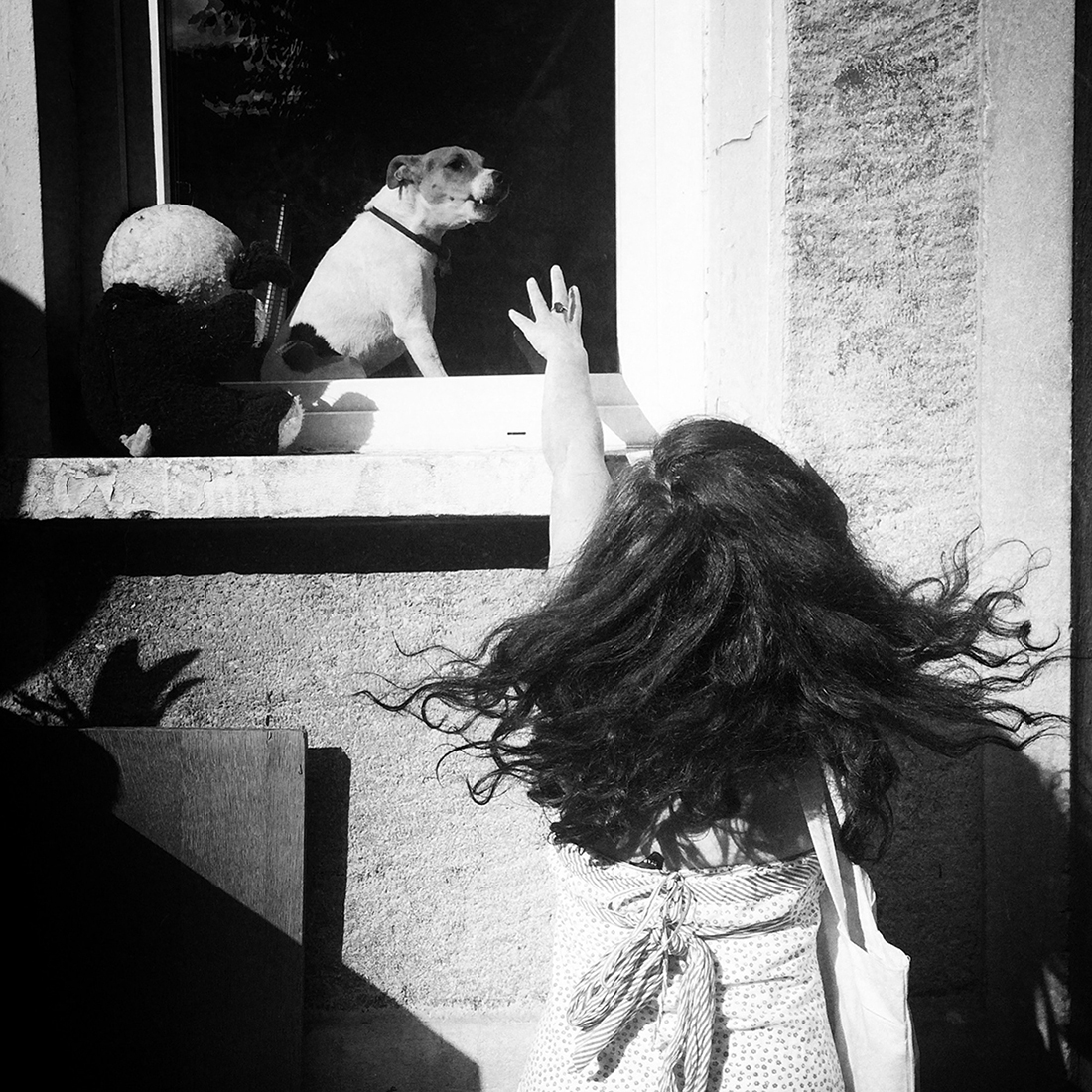 Stray with me