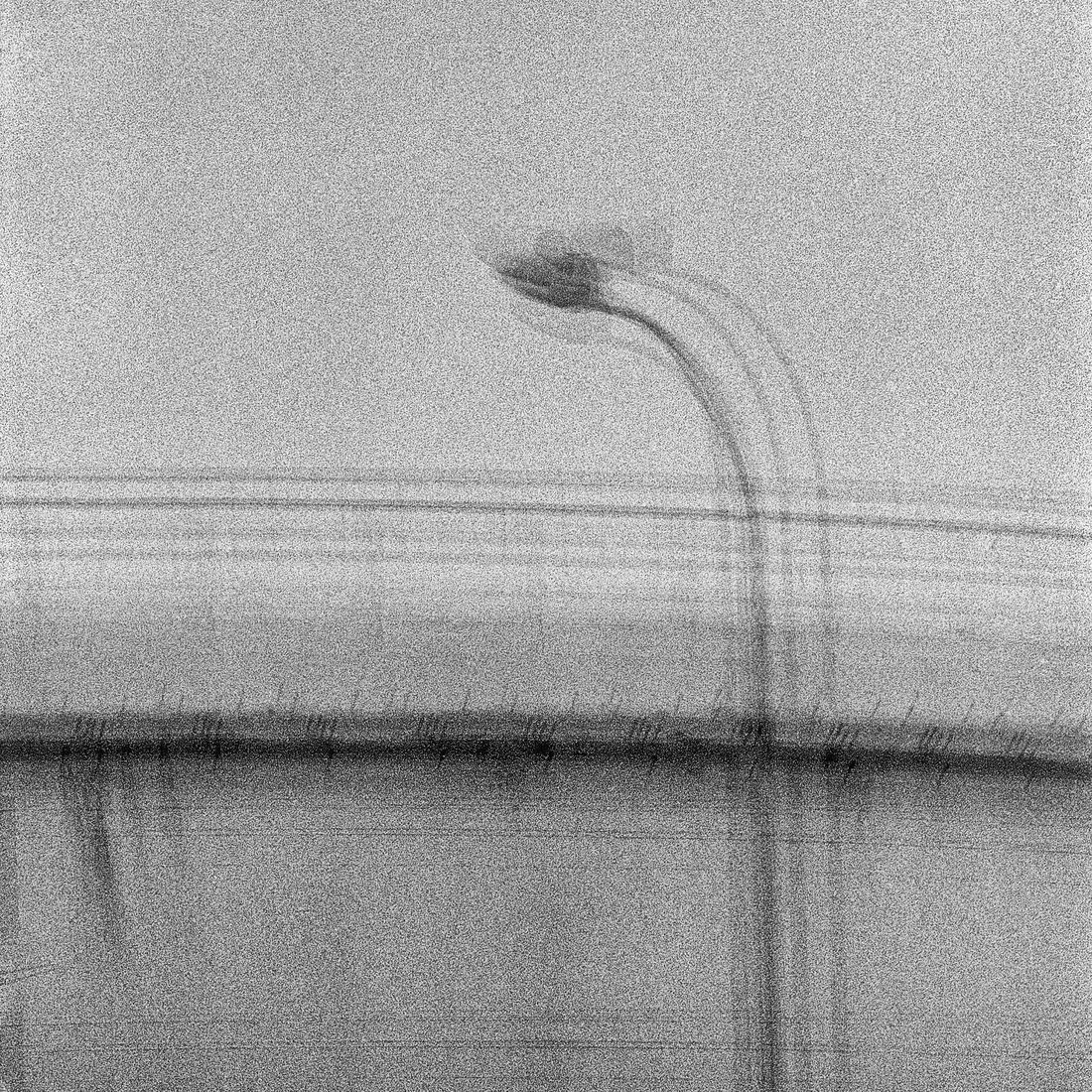 Fabrica Fantasma