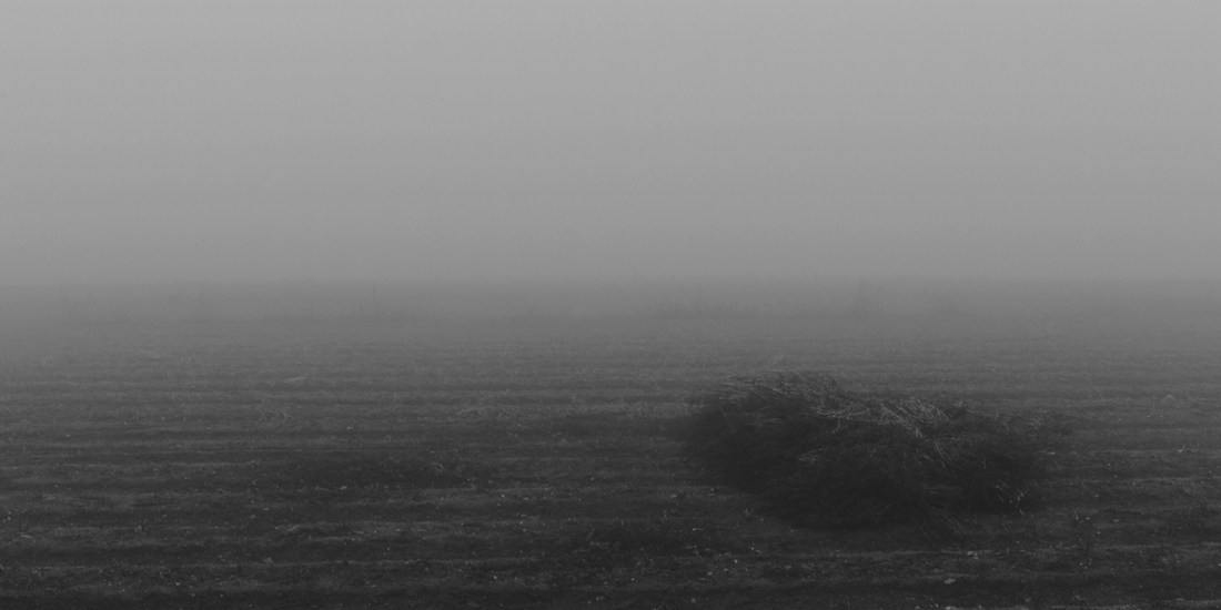 Fine Dust PM2.5/AIRPOCALYPSE