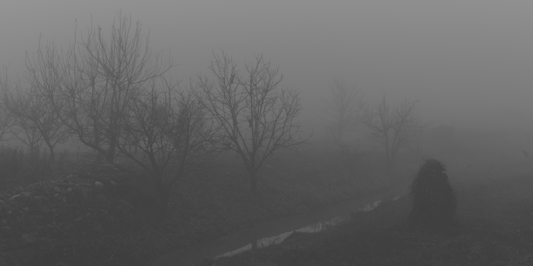 Fine Dust PM2.5/AIRPOCALYPSE
