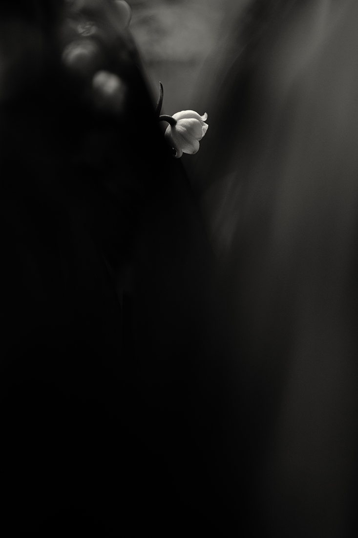 the season of light