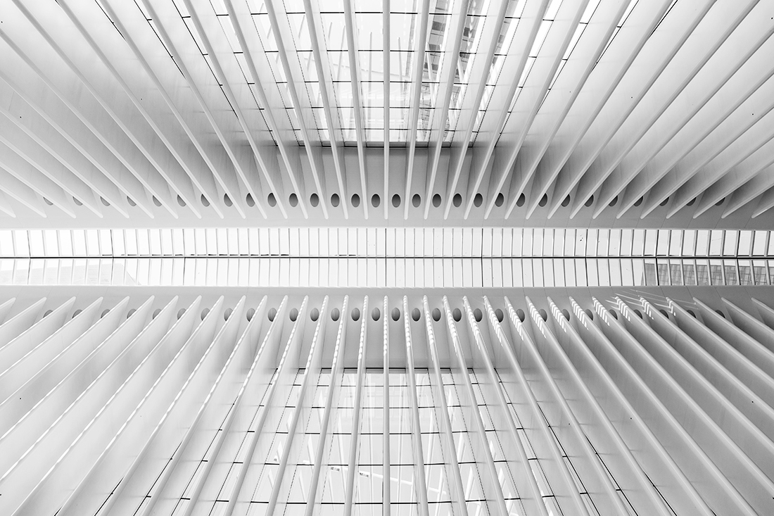Oculus