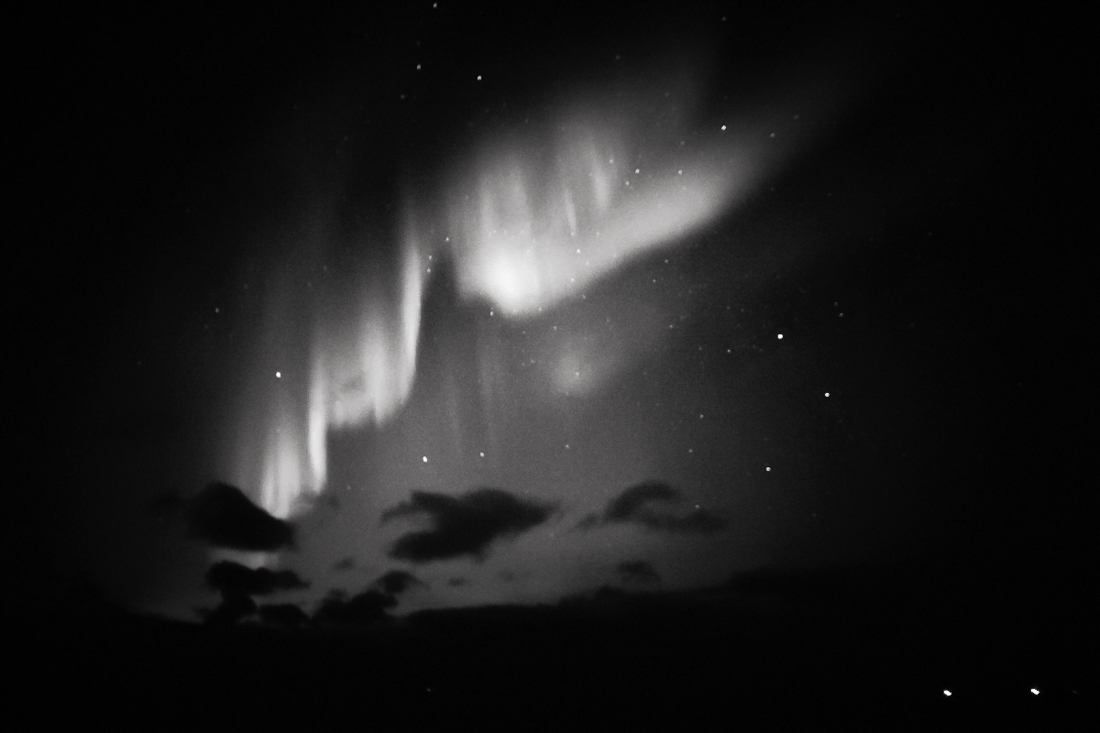 Bjørnøya-born
