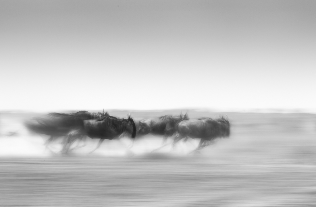 Born To Run