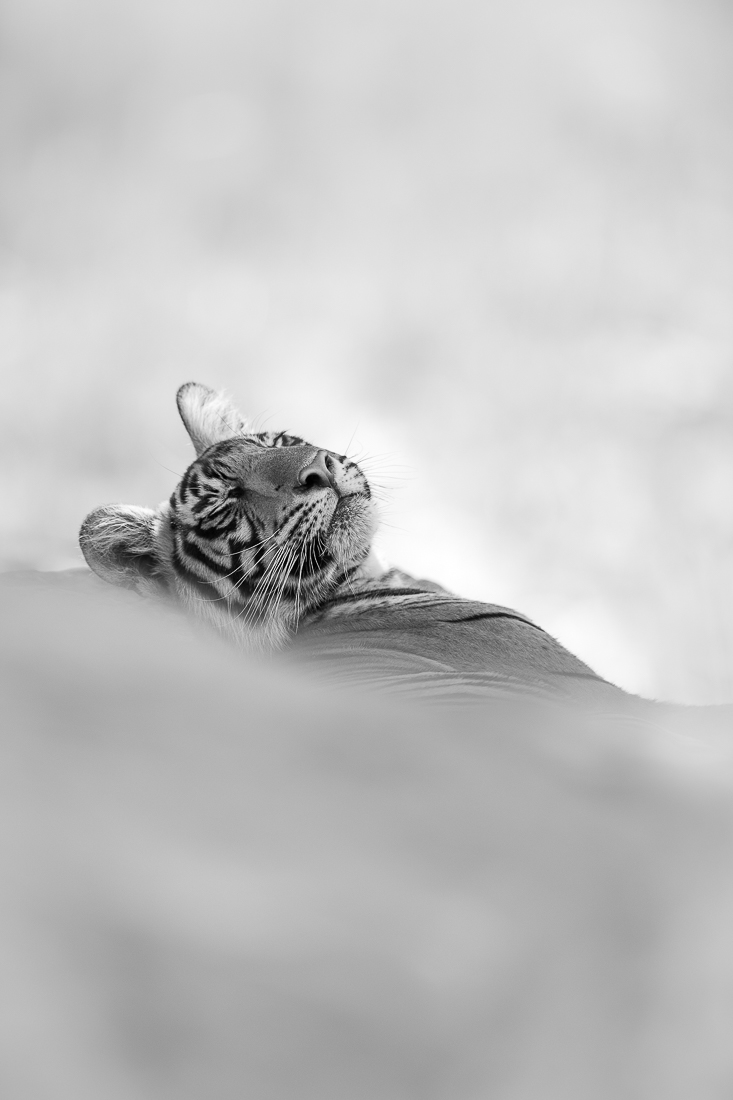 Relaxing