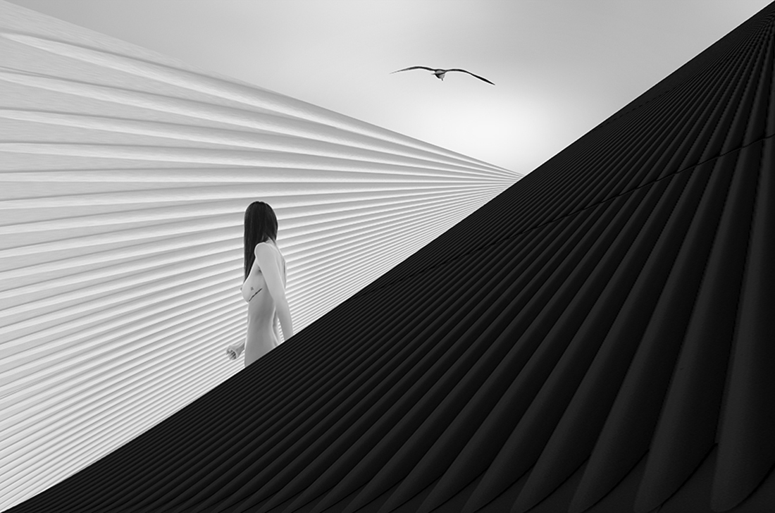 The dreamer of dreams