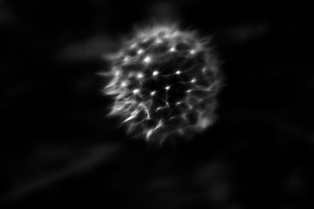Abyss