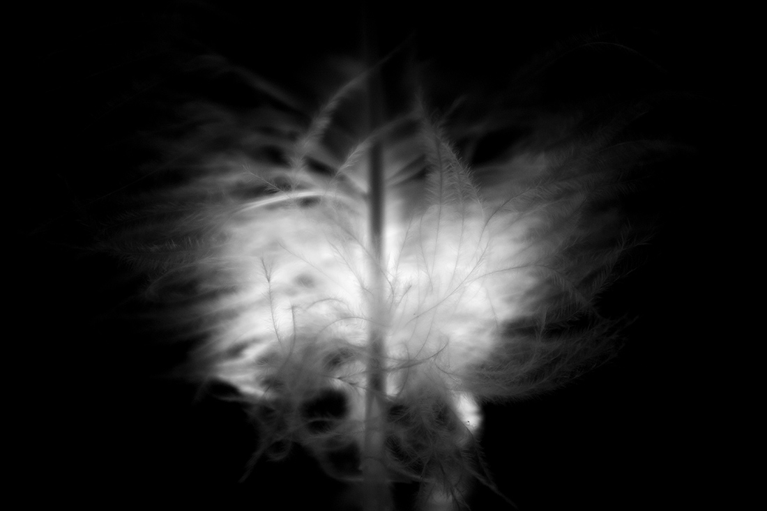 Abyss