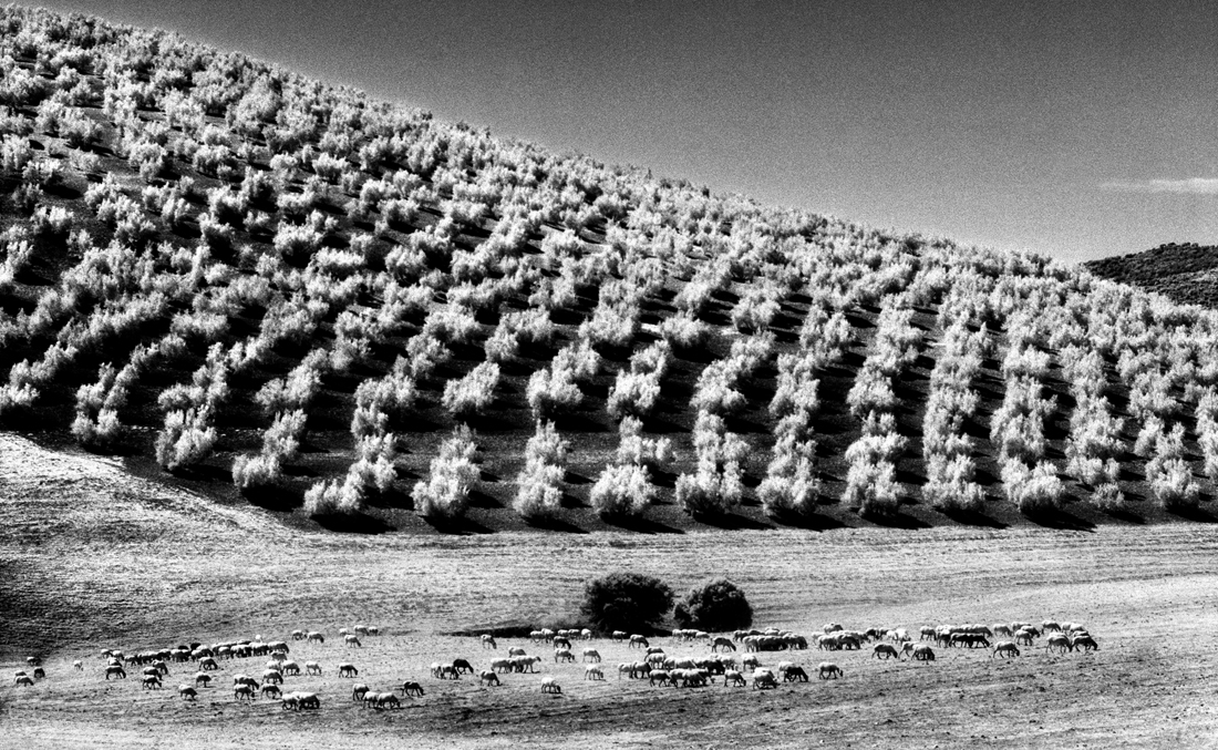 grafismi rurali- rural graphysms 