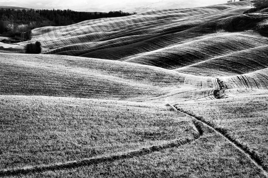 grafismi rurali- rural graphysms 