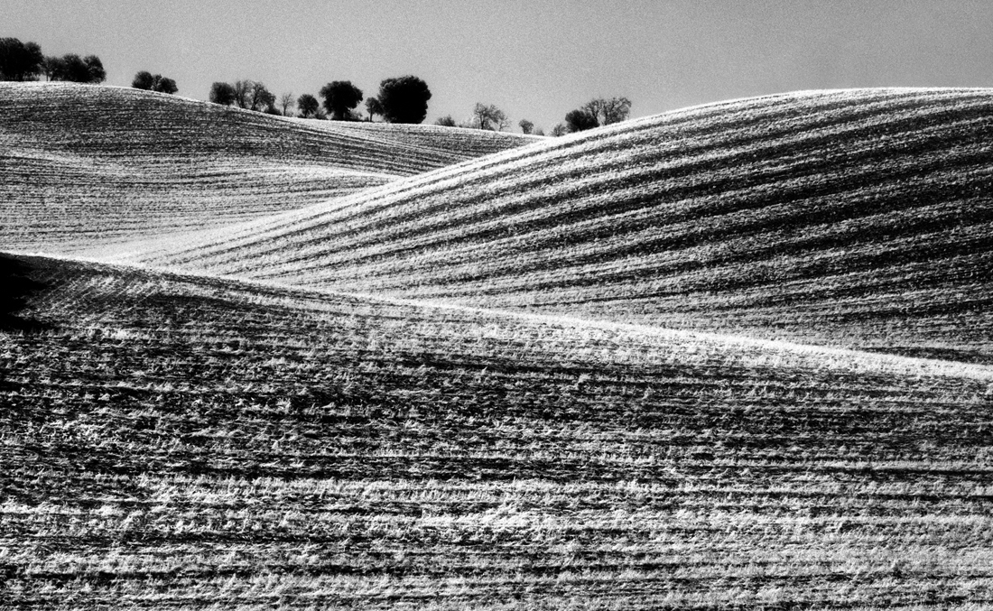 grafismi rurali- rural graphysms 