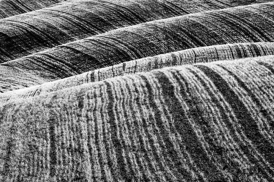 grafismi rurali- rural graphysms 