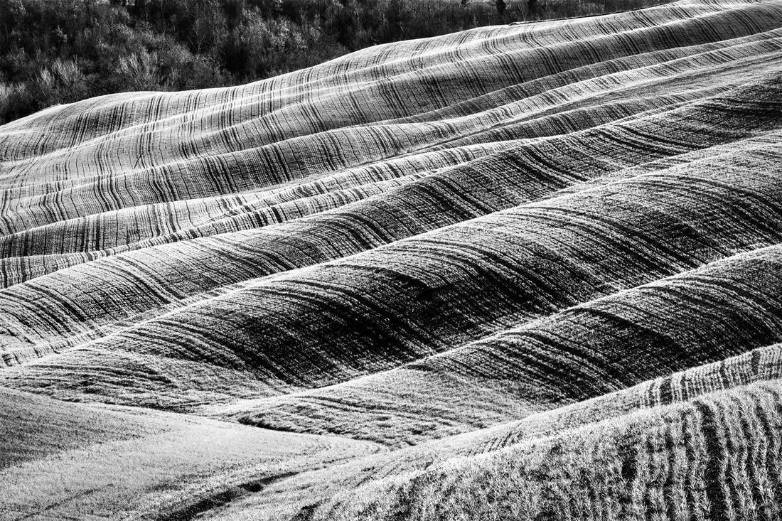 grafismi rurali- rural graphysms 