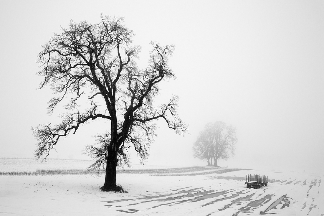 Winter Melt