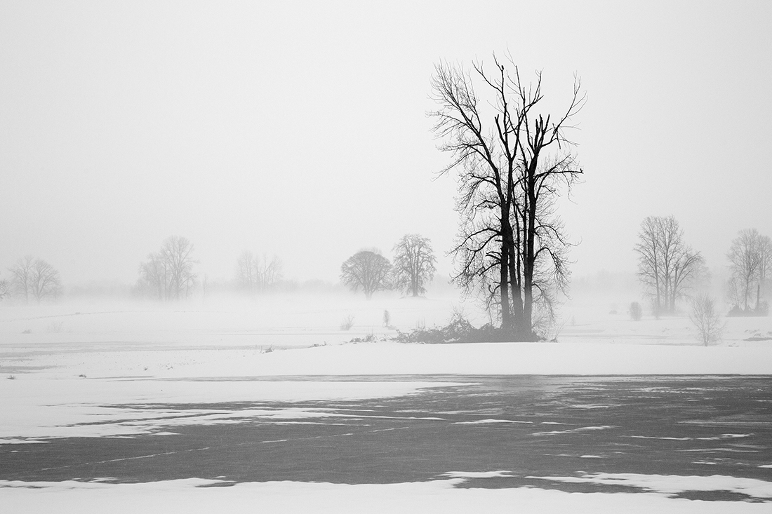 Winter Melt