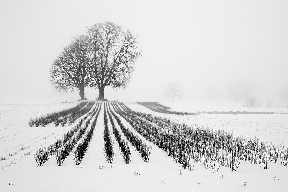 Winter Melt