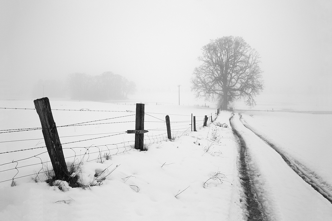 Winter Melt