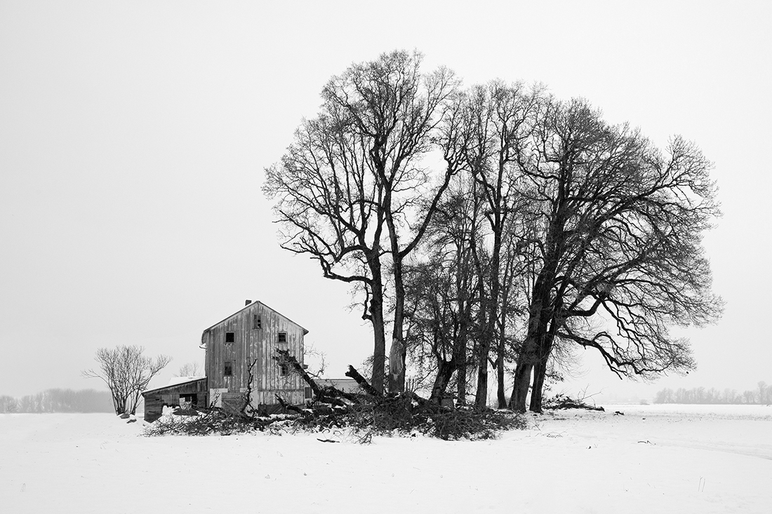 Winter Melt