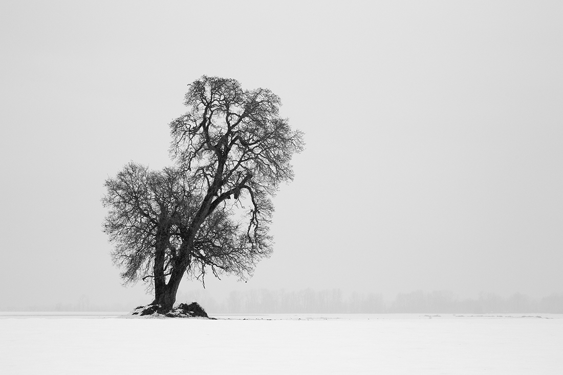 Winter Melt