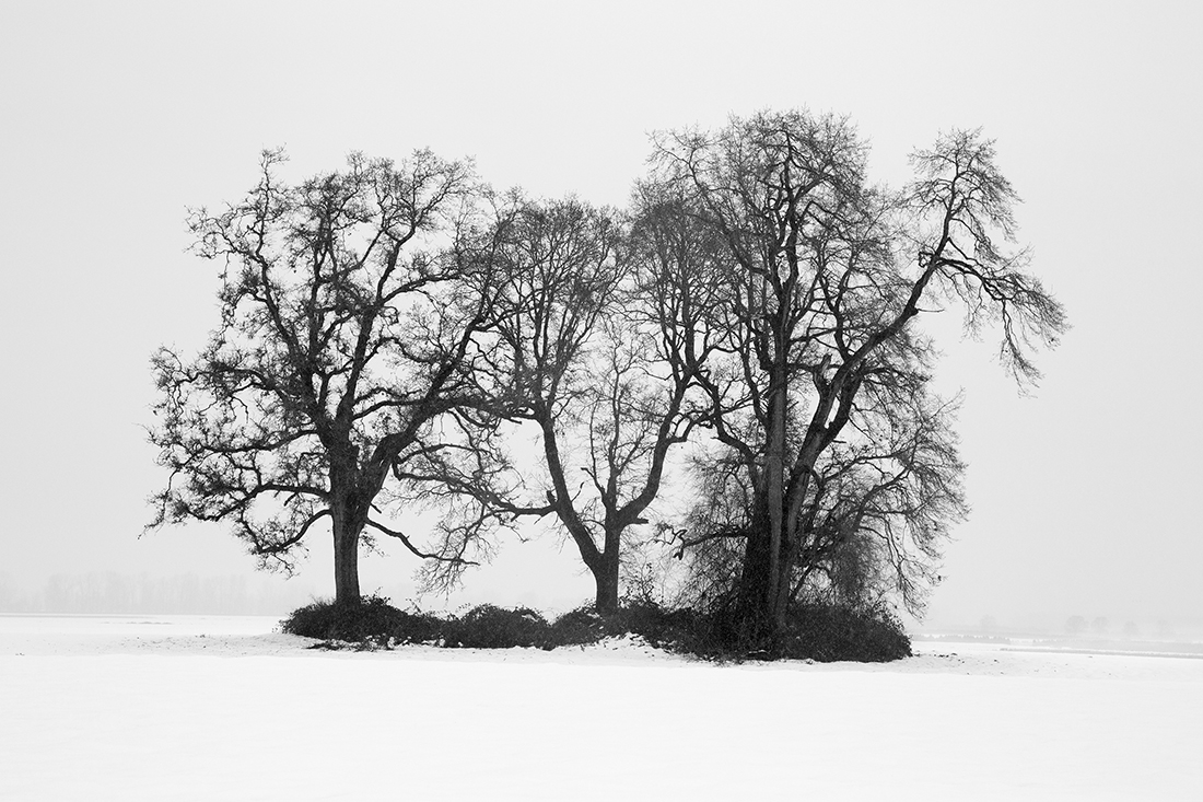 Winter Melt