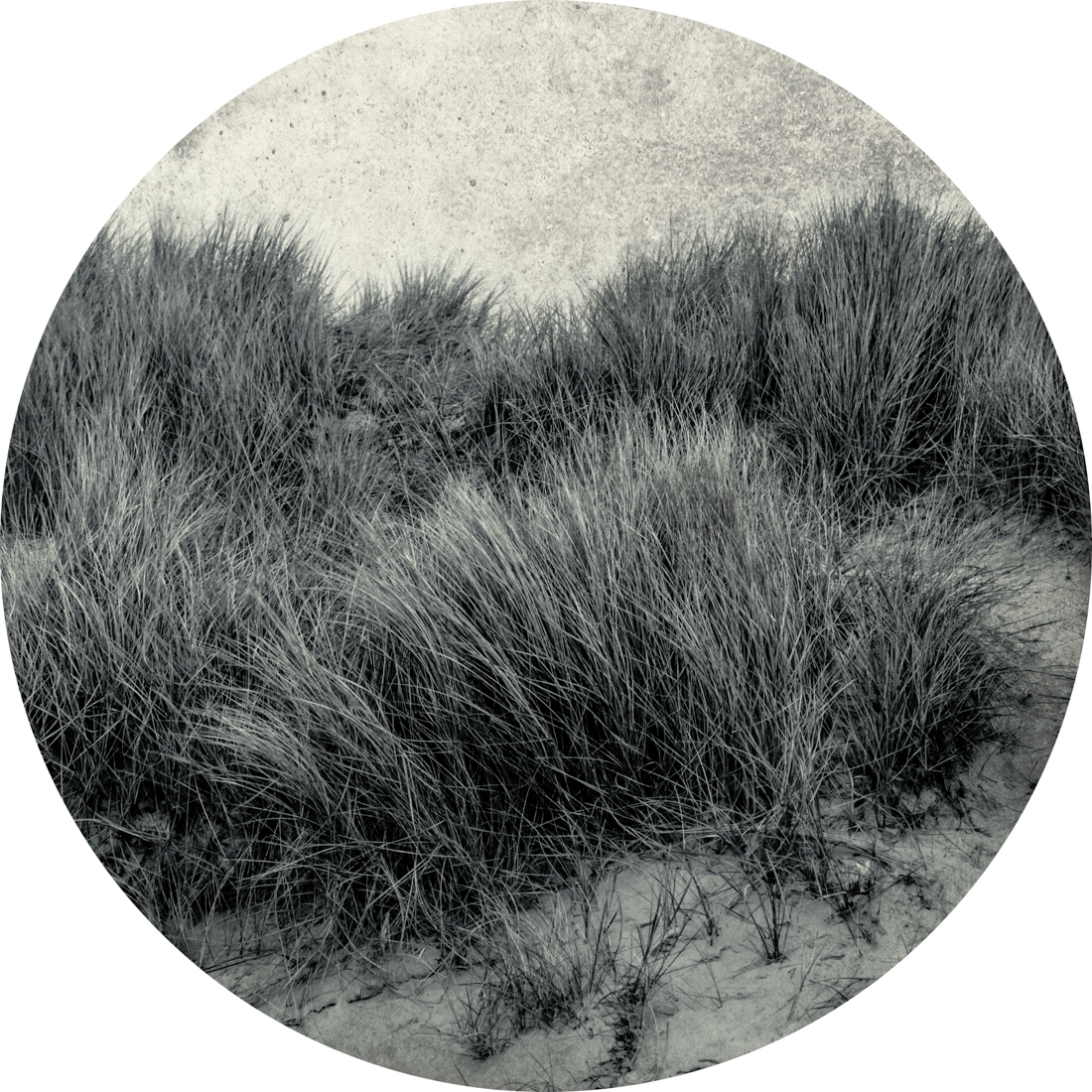 Paramnesie