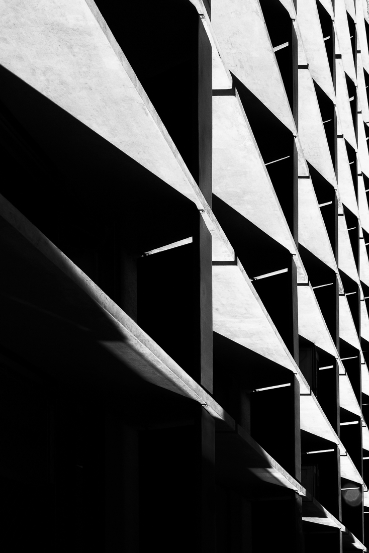 Lines of Shadow