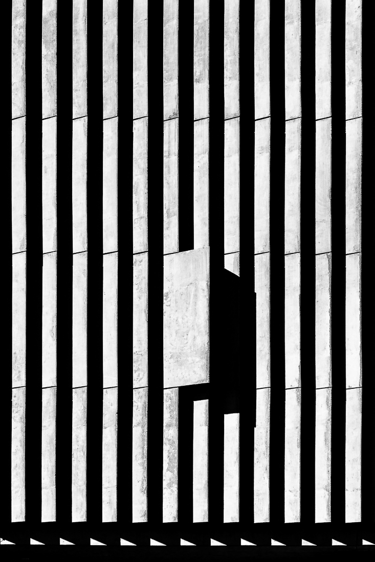 Lines of Shadow