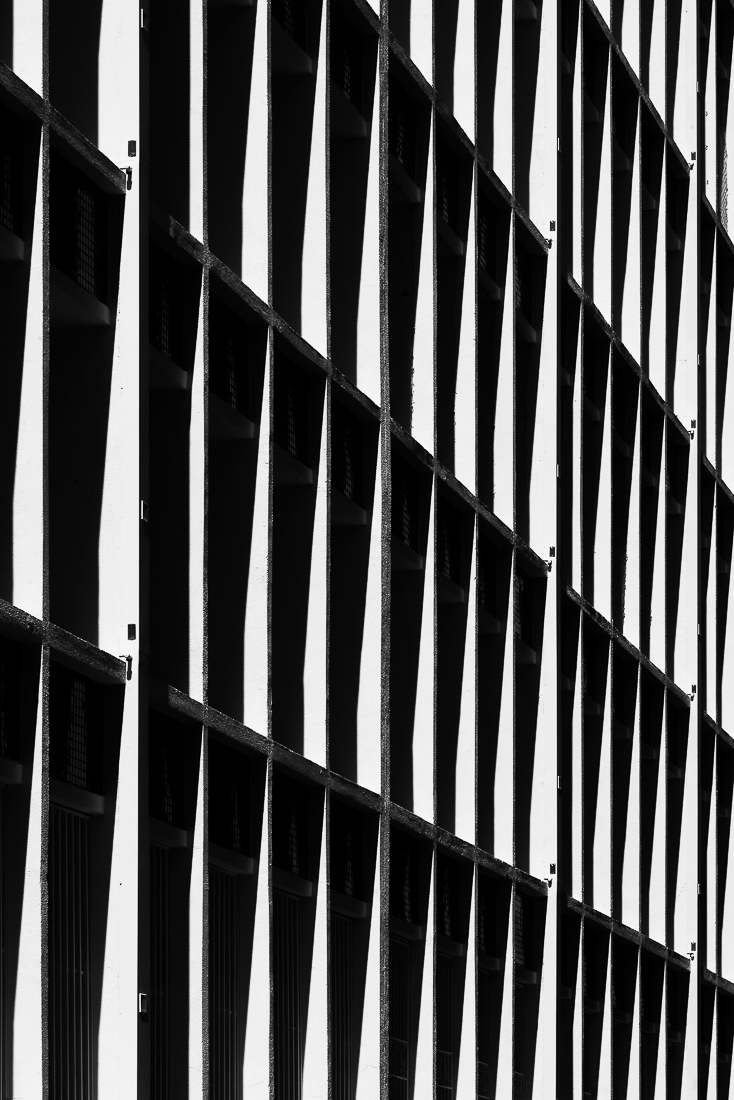 Lines of Shadow