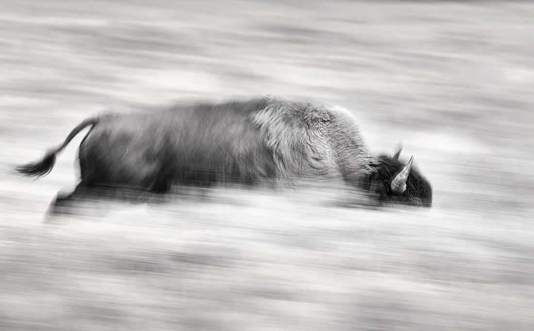 Yellowstone