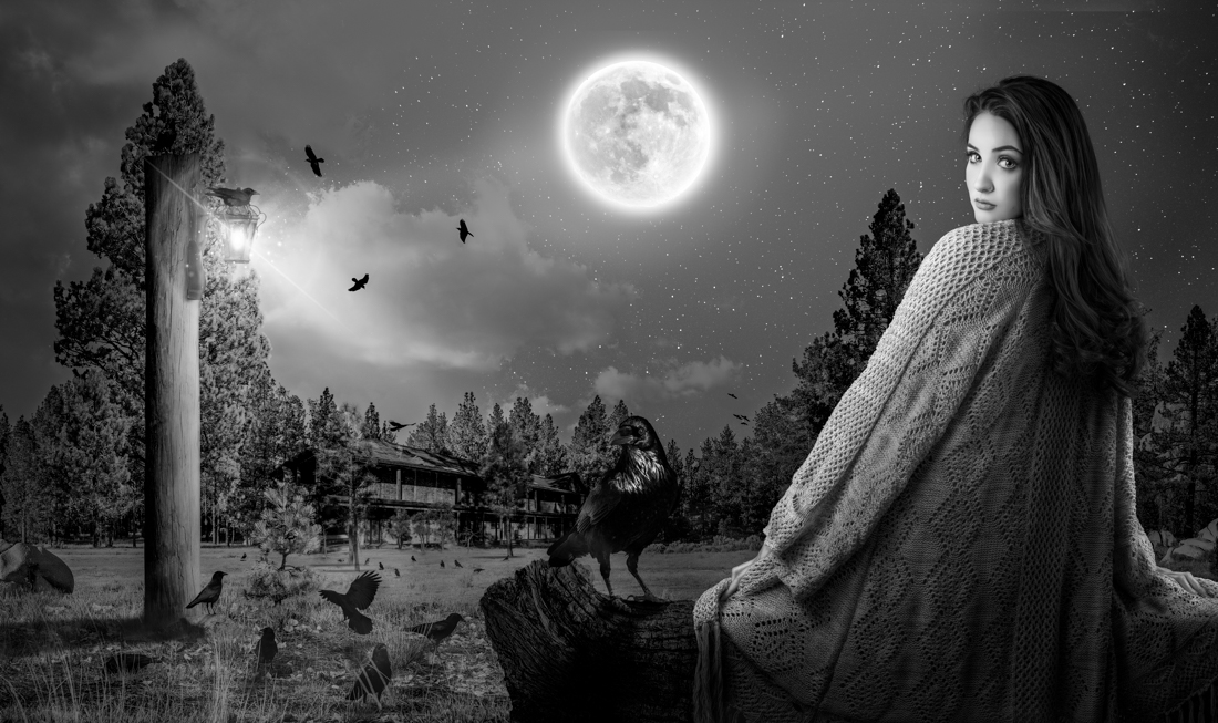 Conceptual Photocompositions