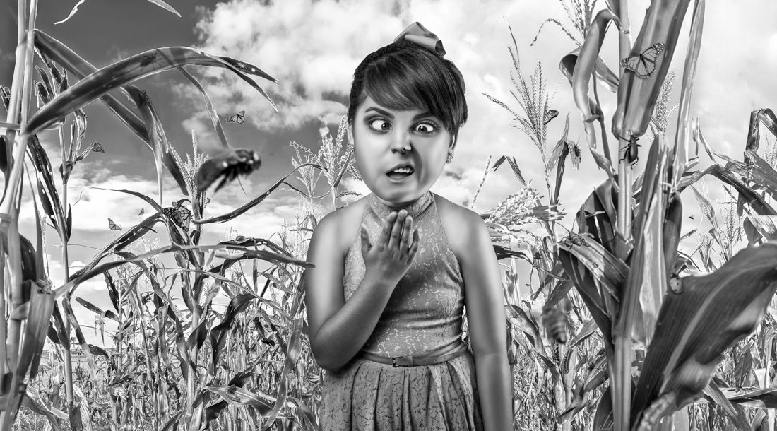 Conceptual Photocompositions