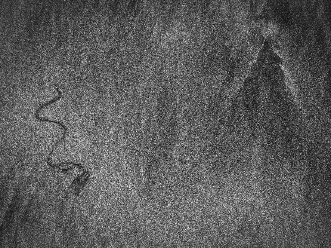 Sand Script — A History of Nicaragua