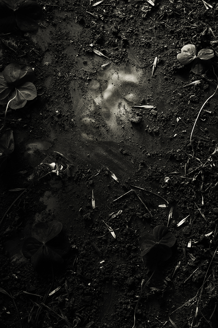La Petit Mort
