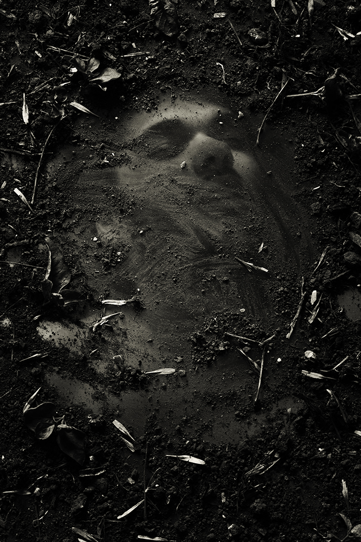 La Petit Mort