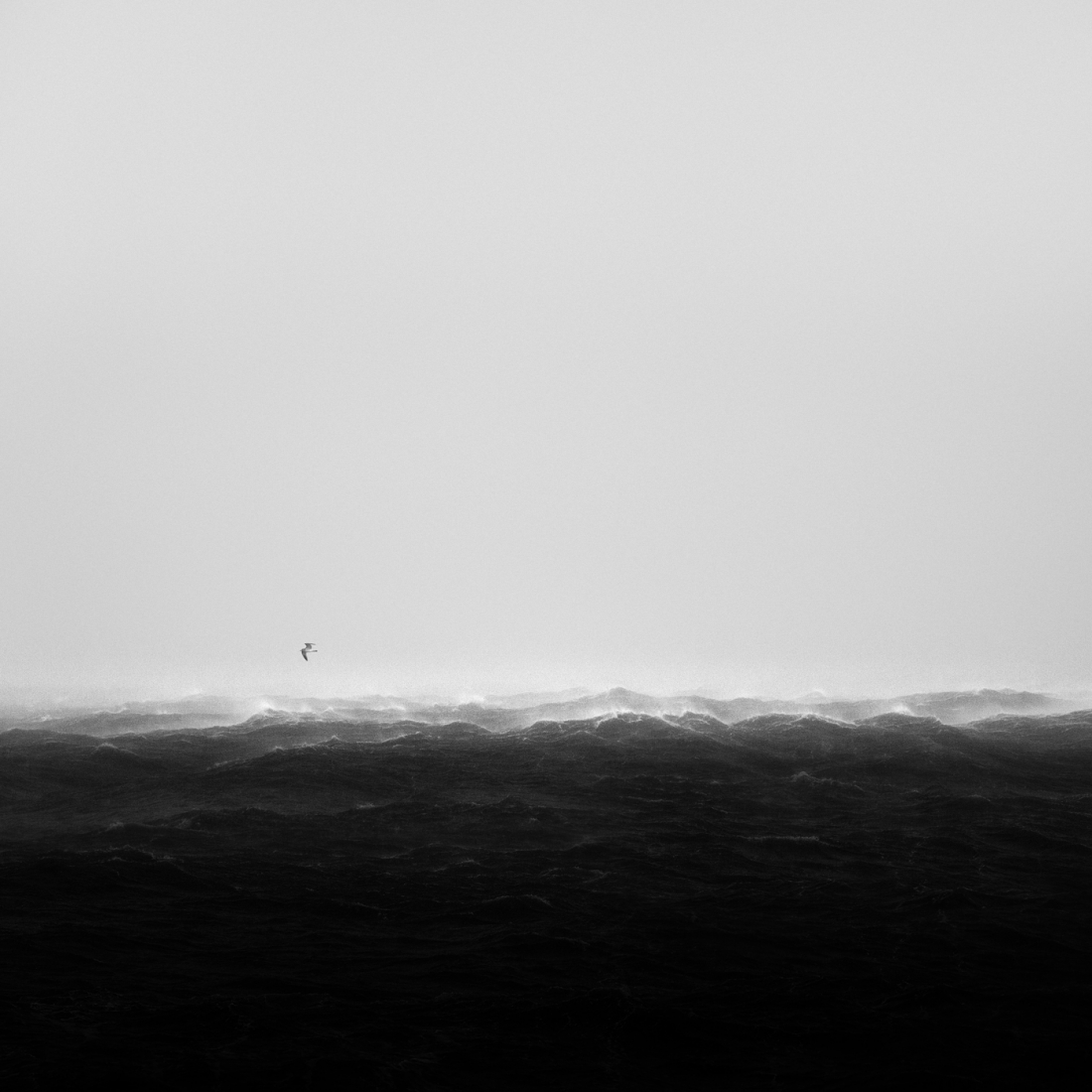 The Arctic Storm