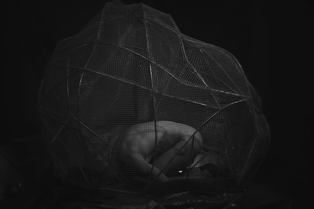 Trapped in the Global System She&He