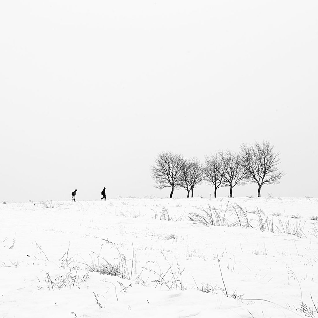 Dream of hometown