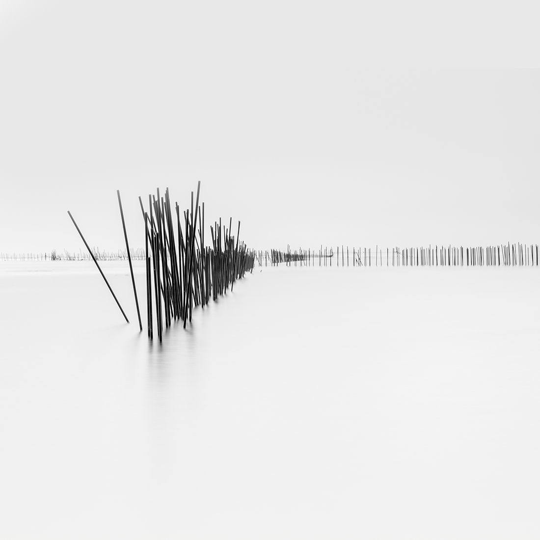 simplicity and complexity