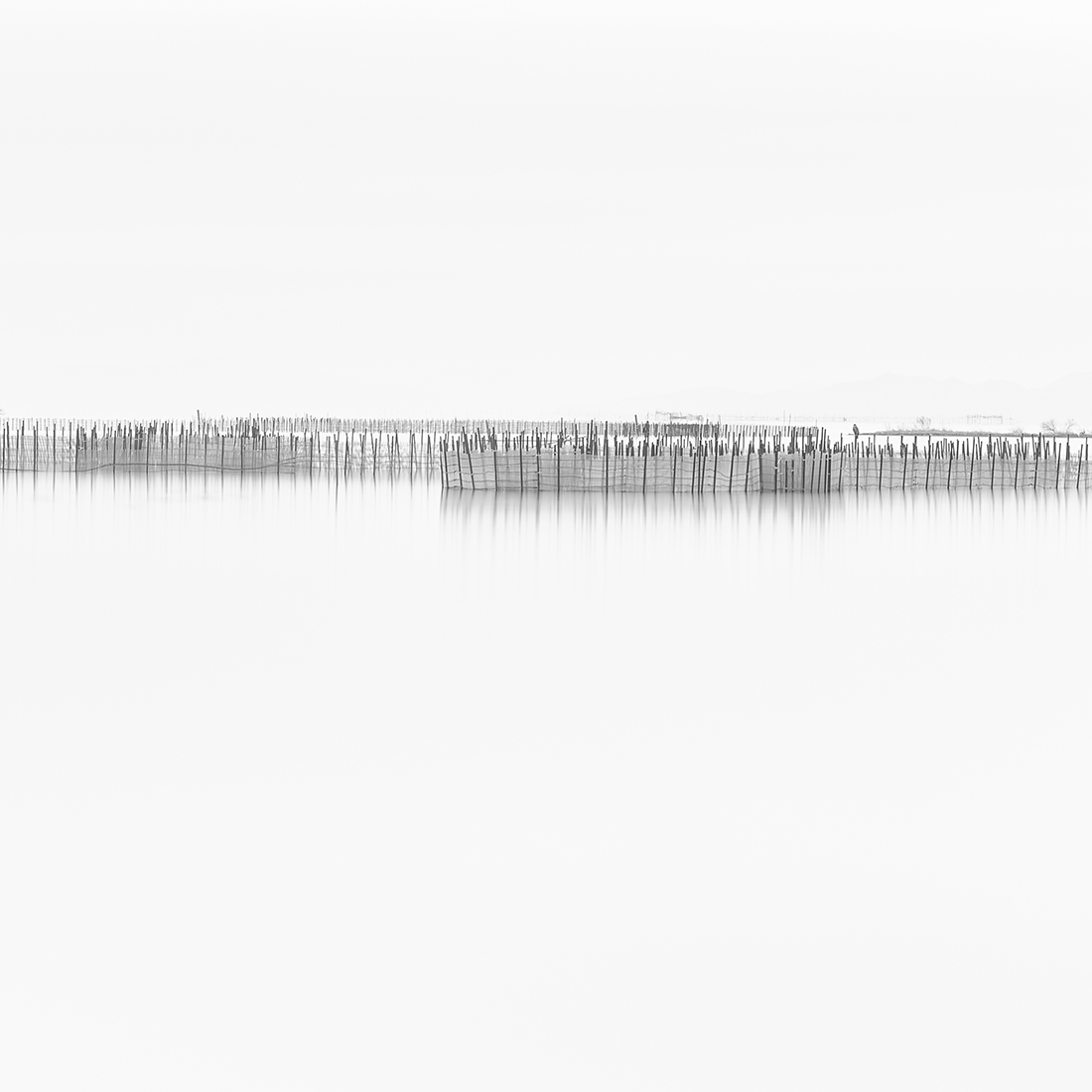 simplicity and complexity