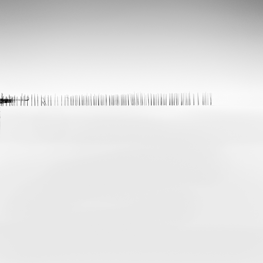 simplicity and complexity