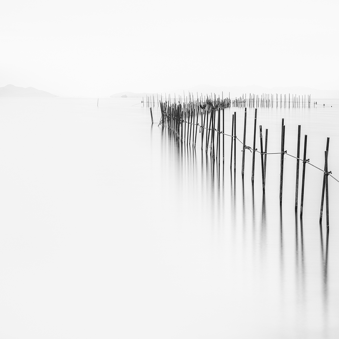simplicity and complexity