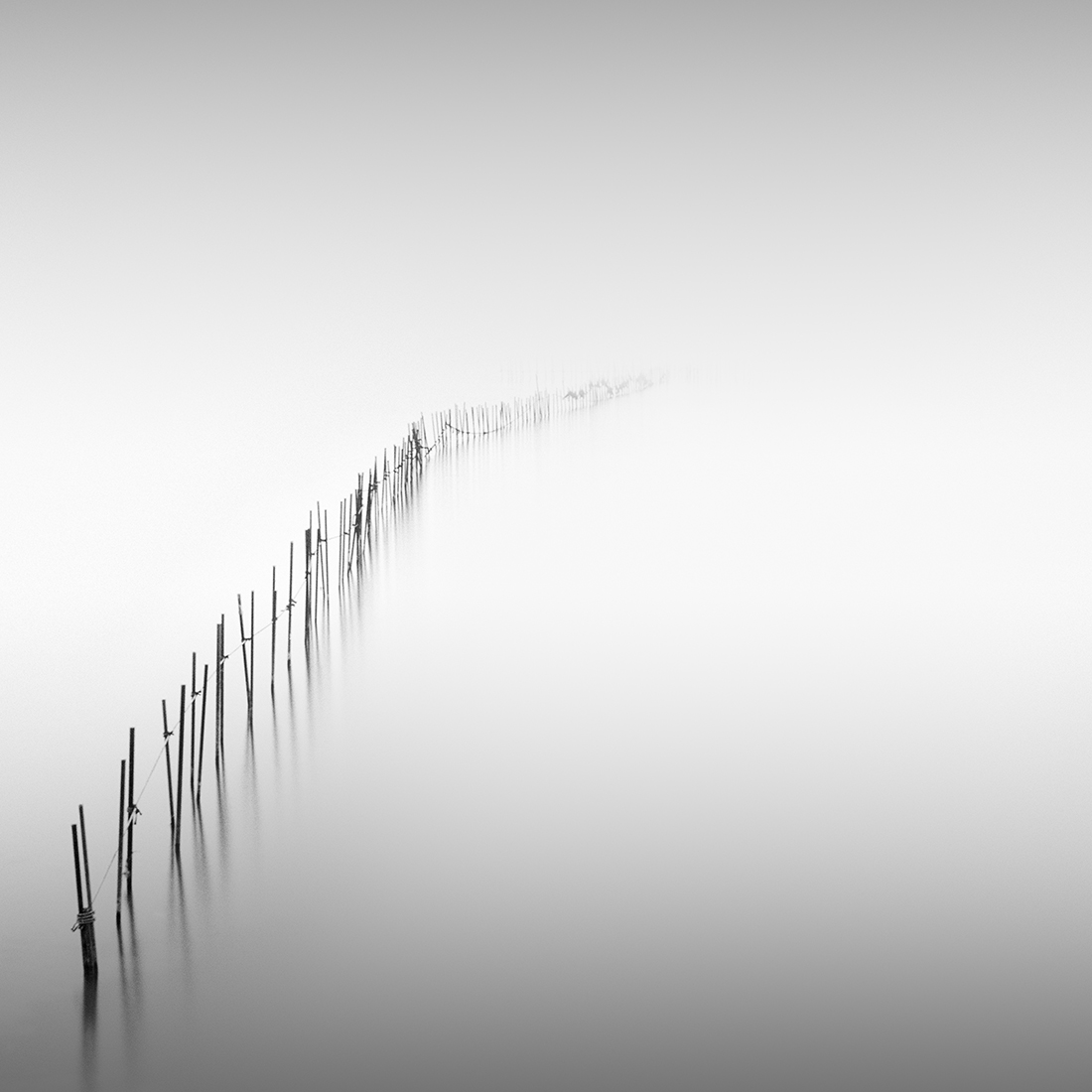 simplicity and complexity