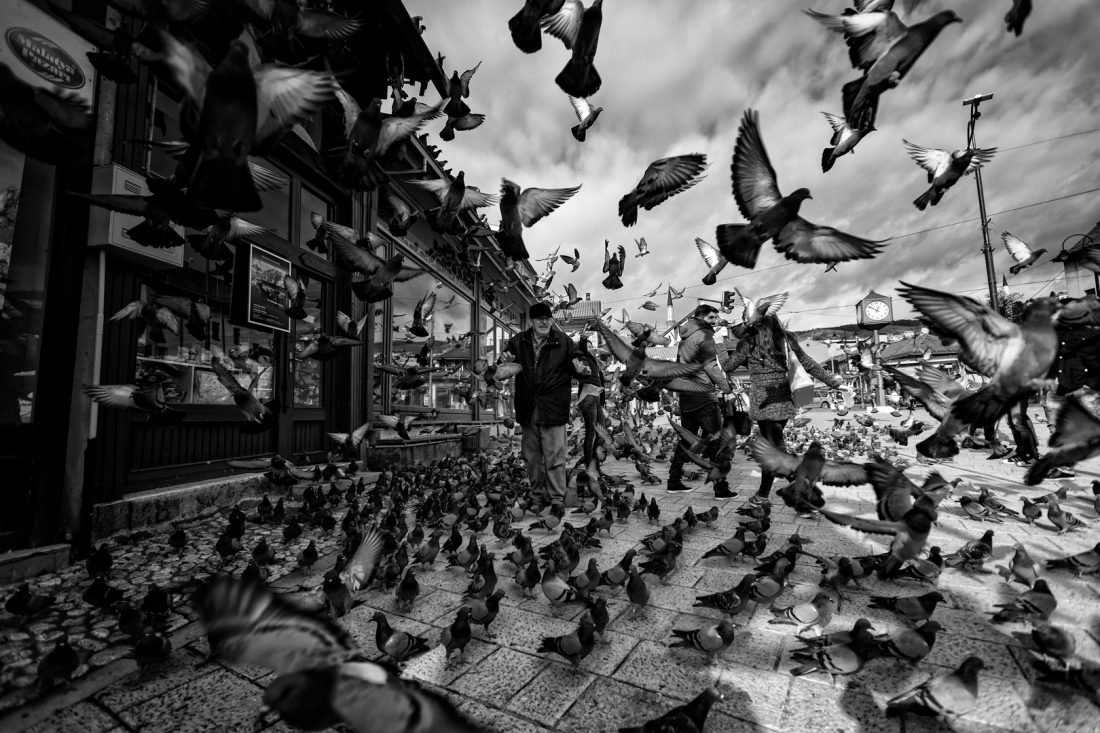 Freedom...