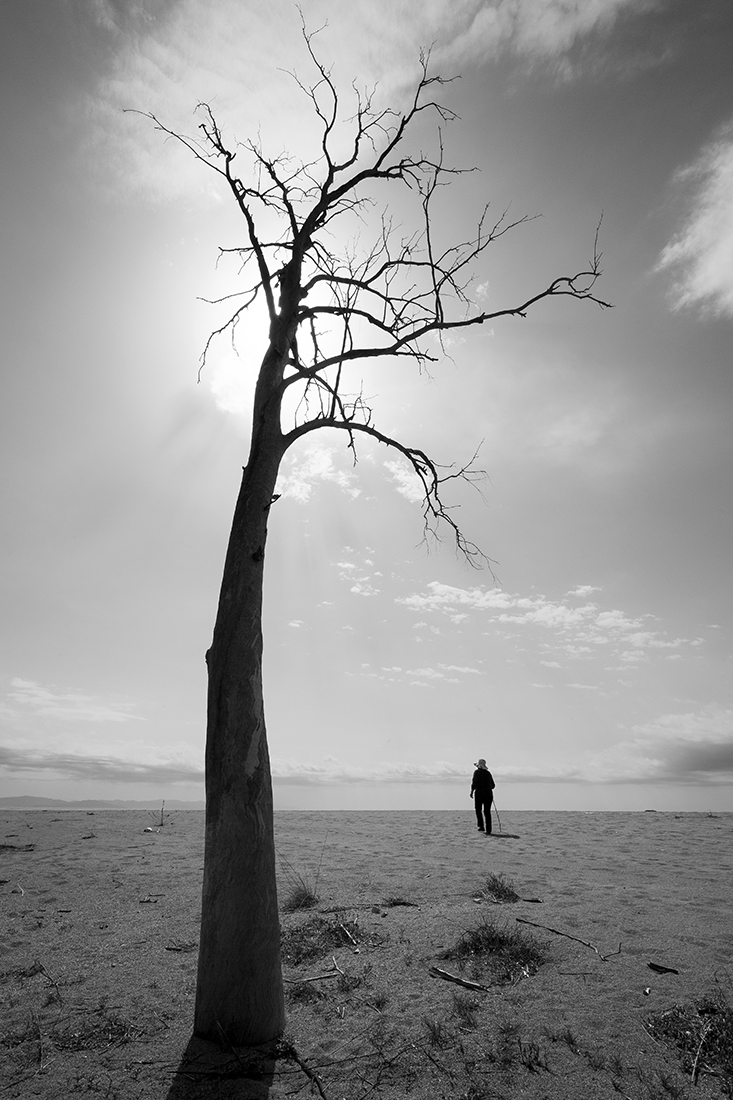 Isolation