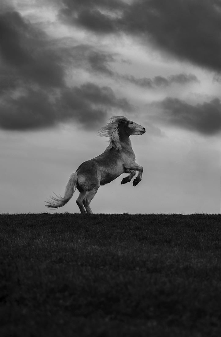Strength