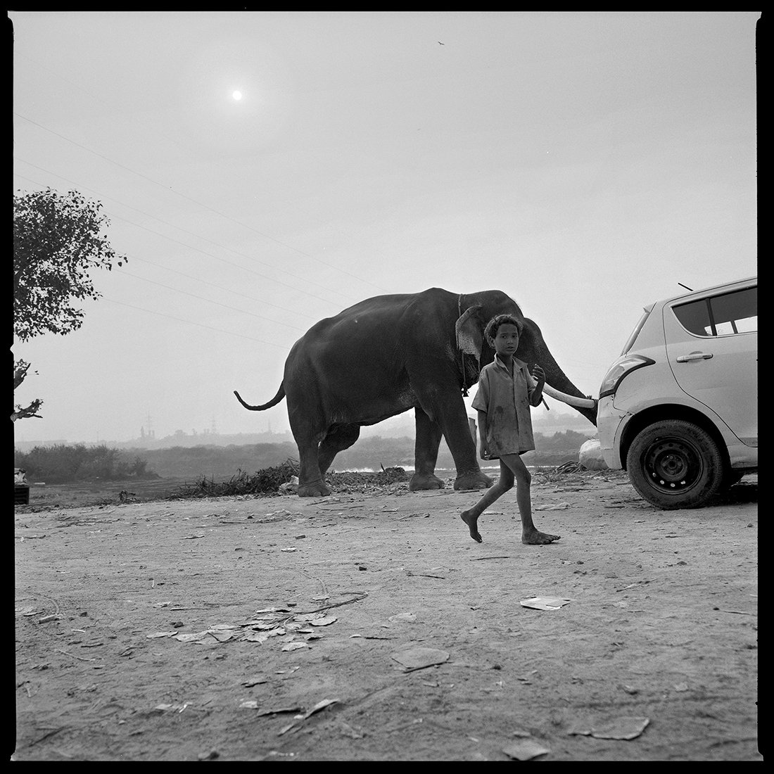 The elephant in the room