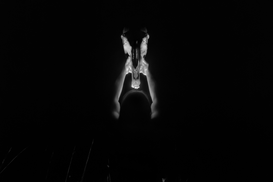 The 9th Horse